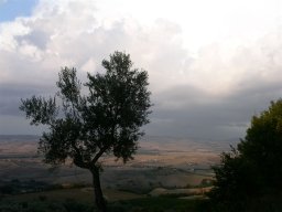 Toscane 2005 - Volterra: paysage Toscan